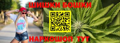 индика Мариинск