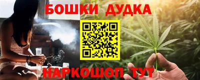 индика Мариинск