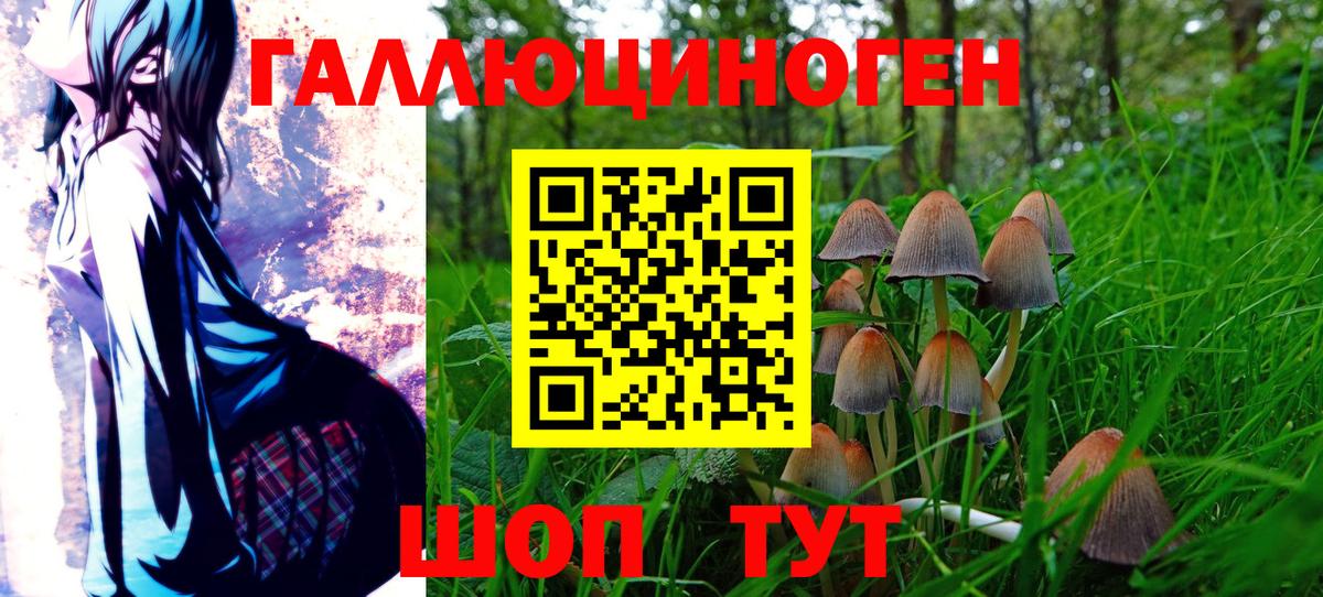 Псилоцибиновые грибы прущие грибы Ижевск