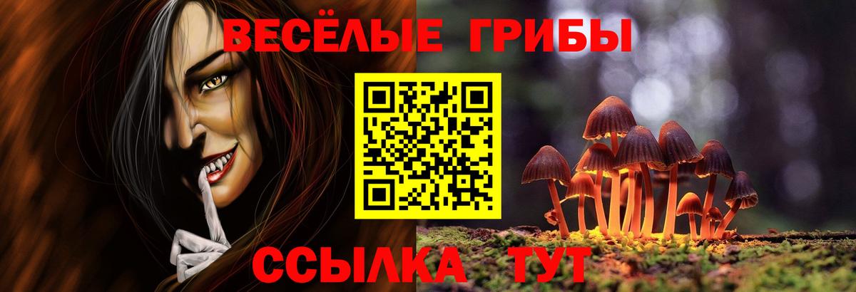 Ижевск  Псилоцибиновые грибы MAGIC MUSHROOMS  Псилоцибиновые грибы мицелий  Вход с VPN 